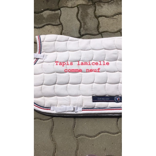 Tapis lamicelle France