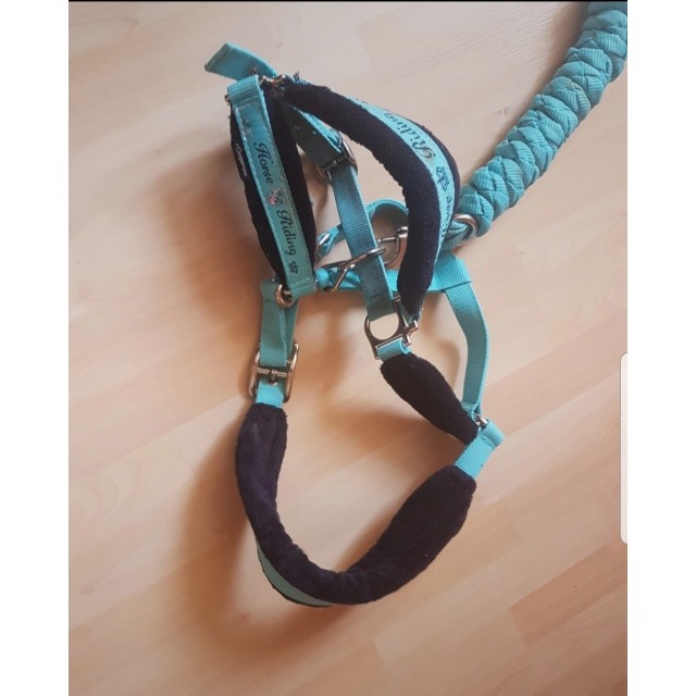 Lot tapis licol longe turquoise Fouganza Décathlon