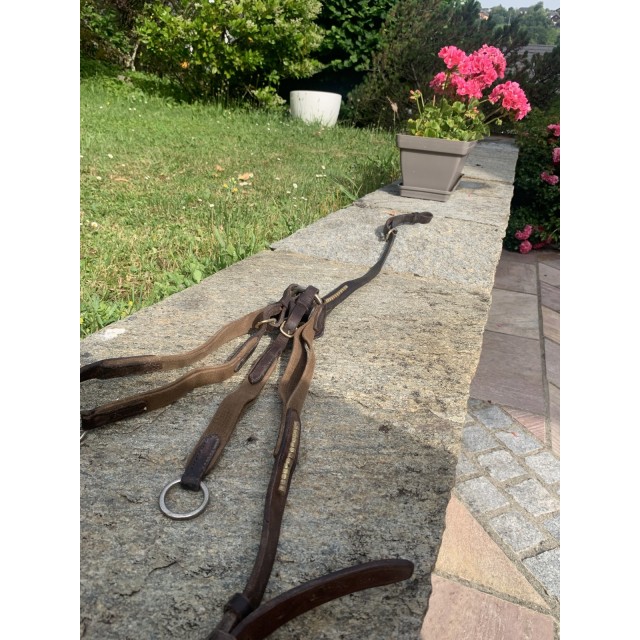 Collier de chasse en cuir chetak (taille cheval)