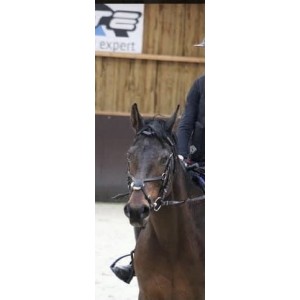 Filet noir taille ps