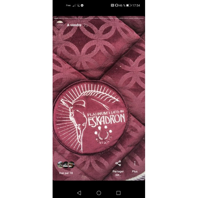 Tapis eskadron platinum