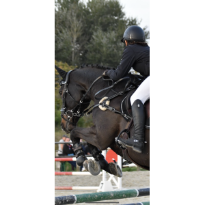 Collier de chasse 5 points noir taille Cheval