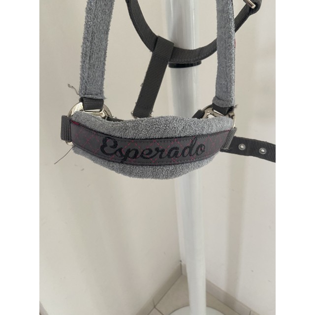 Ensemble licol/longe Esperado