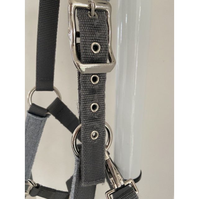 Ensemble licol/longe Esperado