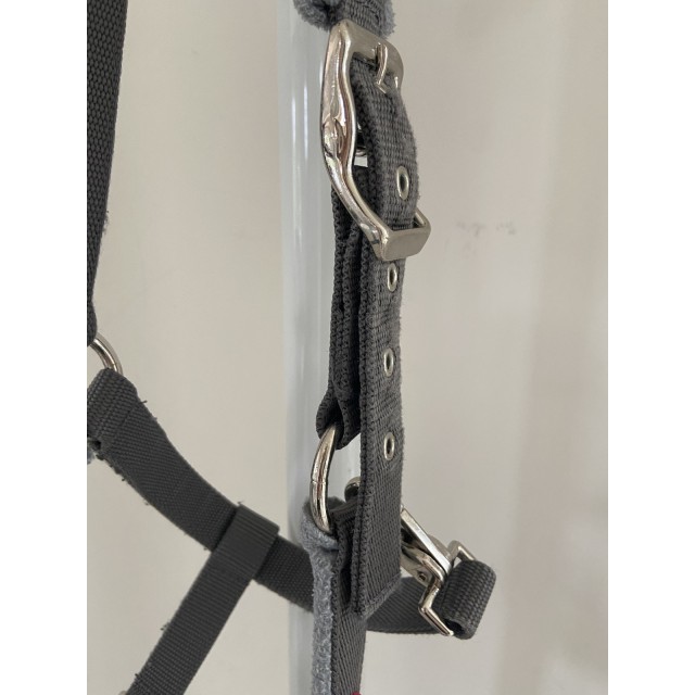 Ensemble licol/longe Esperado