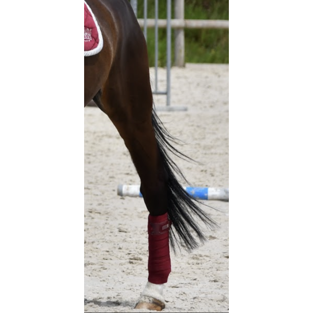 Bande de polo Equiline