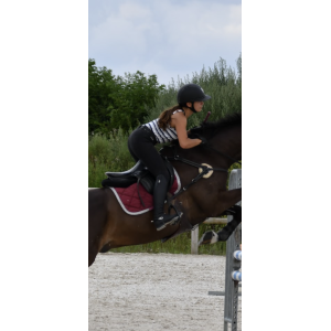 Tapis Cristal Crown Equit'M