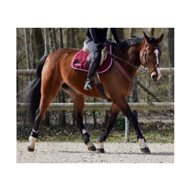 Tapis bordeaux Horses