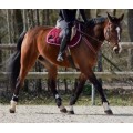 Tapis bordeaux Horses