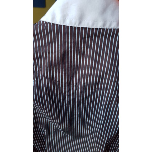 chemise de concours sans manche equicomfort marron rayures bleu ciel