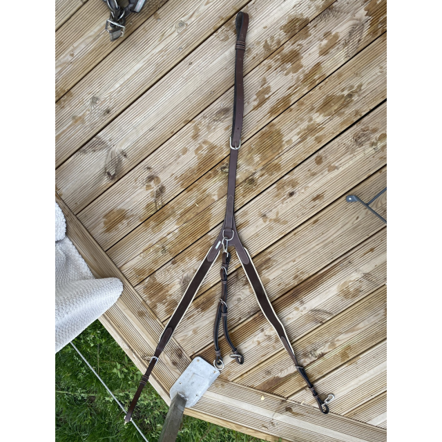Collier de chasse + martingale