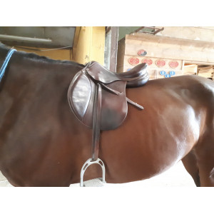 Selle antares signature 2015