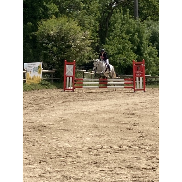Tapis mixte poney