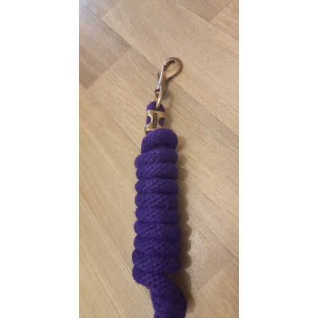 Licol + longe équithème violet.