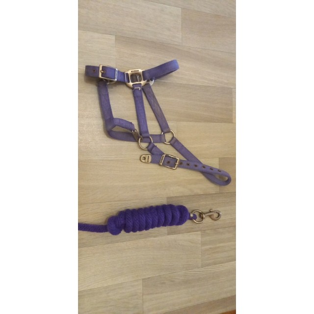 Licol + longe équithème violet.