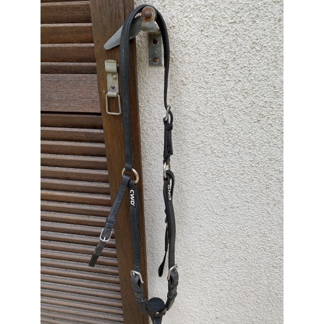 Collier de chasse CWD