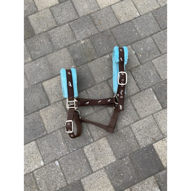 Licol marron et bleu