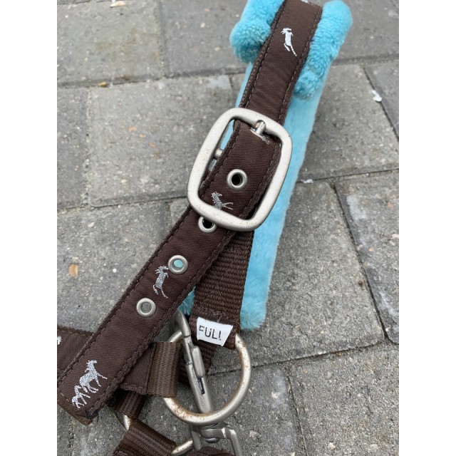 Licol marron et bleu