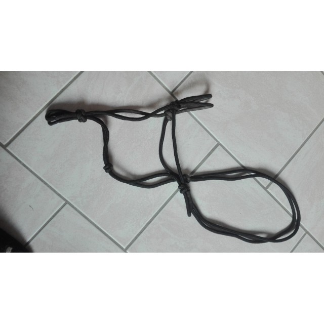 Licol + Longe ETHOLOGIQUE