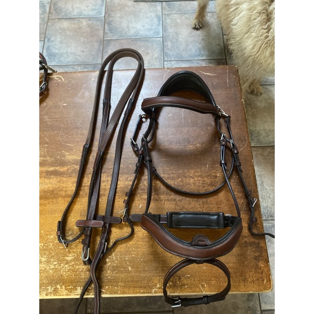 Bridon Comfort flags and cup avec rênes