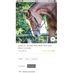 Bridon Jump’in One New York