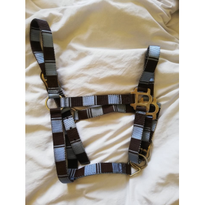 Licol bleu et marron Padd