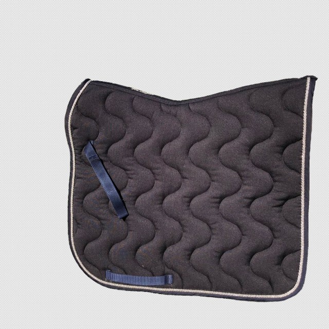 Tapis de dressage
