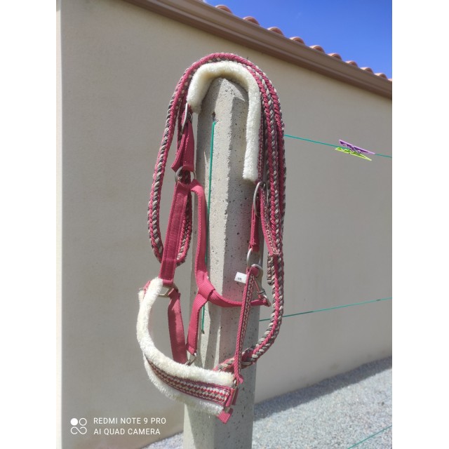 Licole rose avec "moumoute"