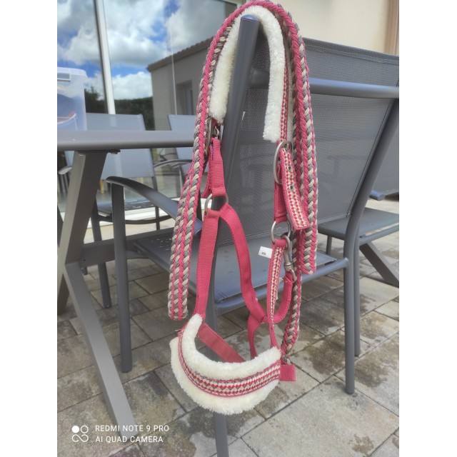 Licole rose avec "moumoute"