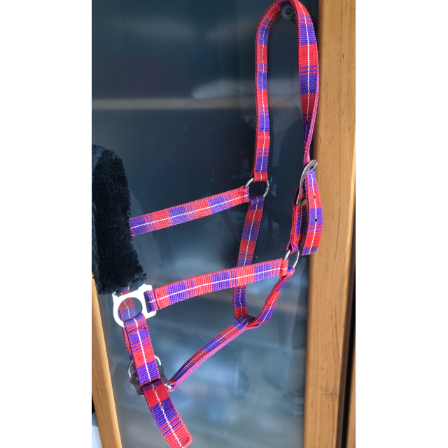 Licol violet et rouge taille cheval avec moumoute noir