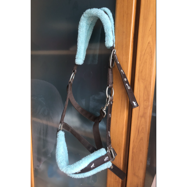 Licol marron moumoute bleue Taille cheval.