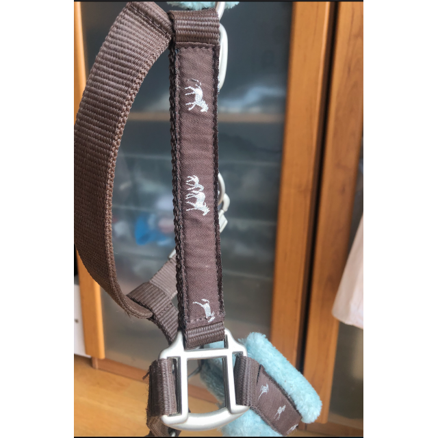 Licol marron moumoute bleue Taille cheval.