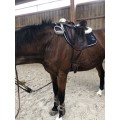 Selle de dressage Antares Concept