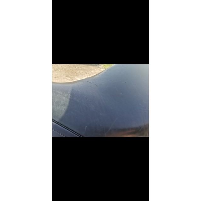 Selle de dressage Privilege soft 17'