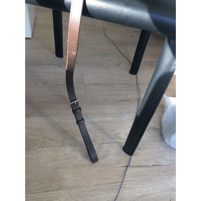 colliers de chasse + martingale