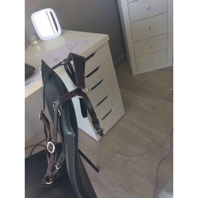 colliers de chasse + martingale