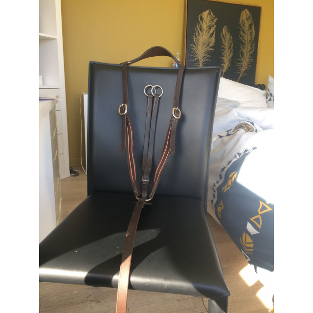 colliers de chasse + martingale