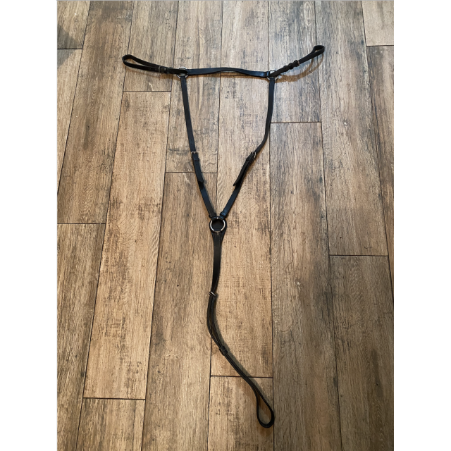 Collier de chasse sans marque