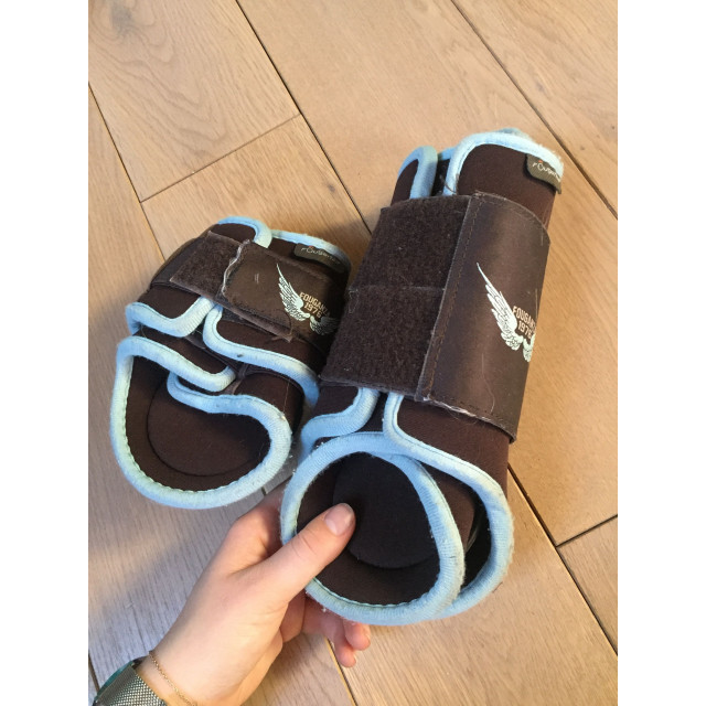 Guetre + protege boulet taille cheval