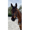 Bridon Equipe