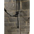 Collier de chasse avec martingale pleine à élastique