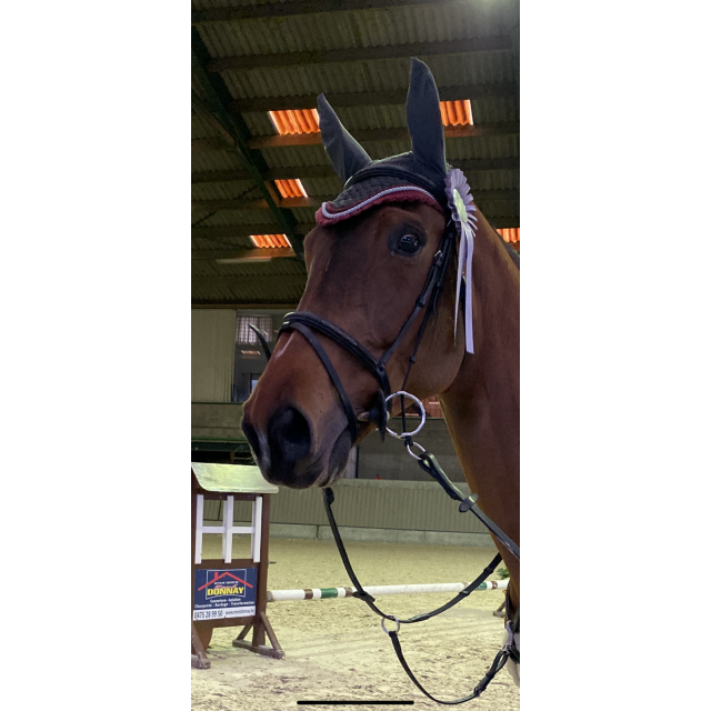 Bridon Equipe
