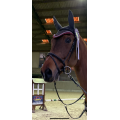 Bridon Equipe