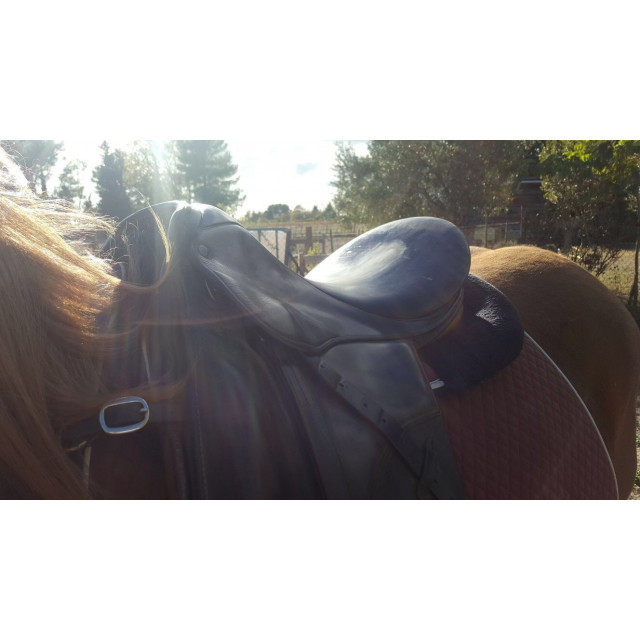 Selle Stubben