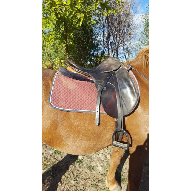 Selle Stubben