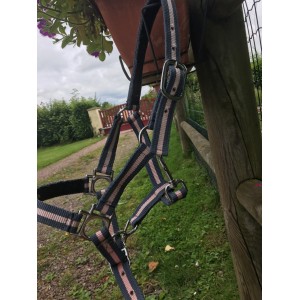 Licol taille shetland