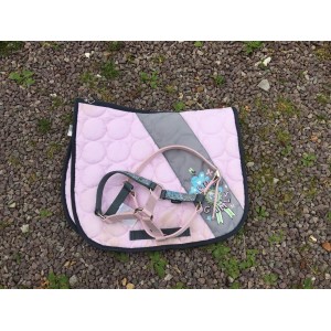 Tapis + licol taille shetland