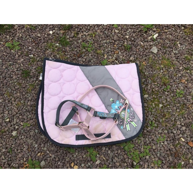 Tapis + licol taille shetland