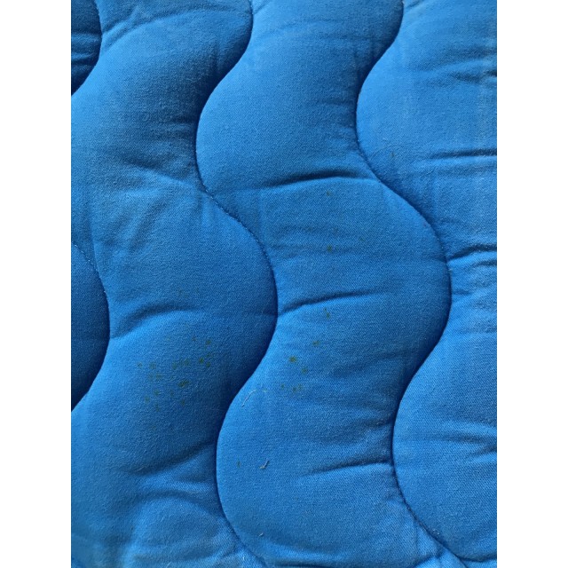 Tapis equithème bleu roi