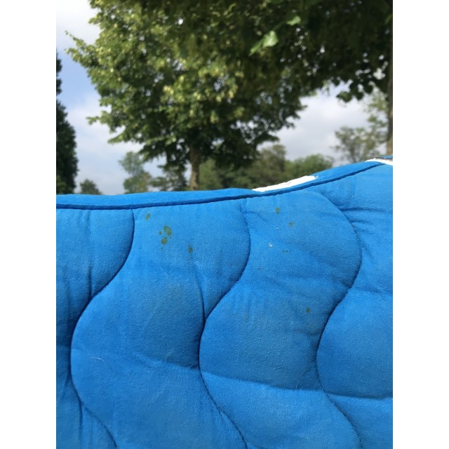 Tapis equithème bleu roi